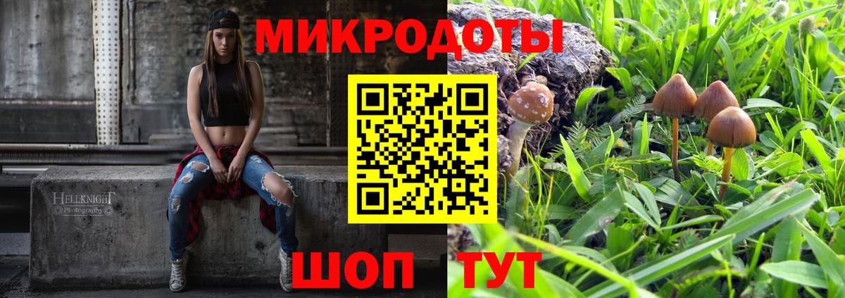 Псилоцибиновые грибы Cubensis  Вход с VPN  Свободный 